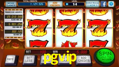 Descubra o Mundo do Cassino Online com pgvip