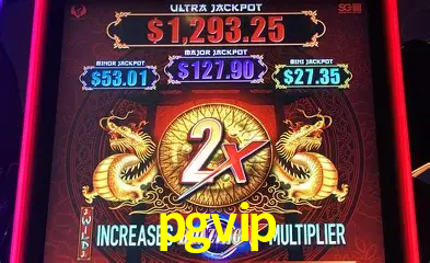 Descubra o Mundo do Cassino Online com pgvip