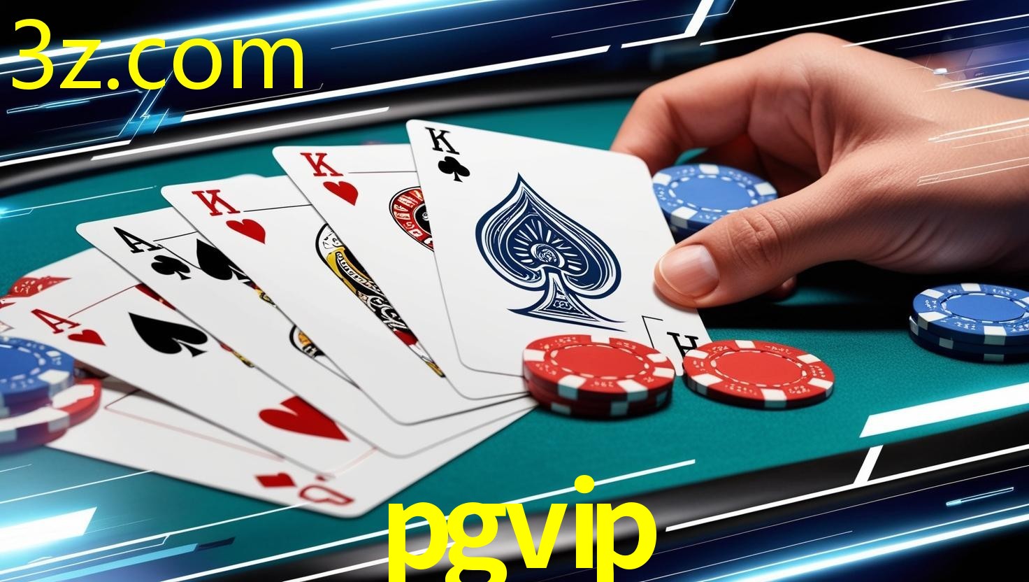 PGVIP.COM